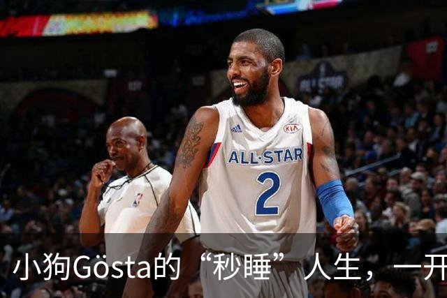 小狗Gösta的“秒睡”人生，一开心就直接“关机”！